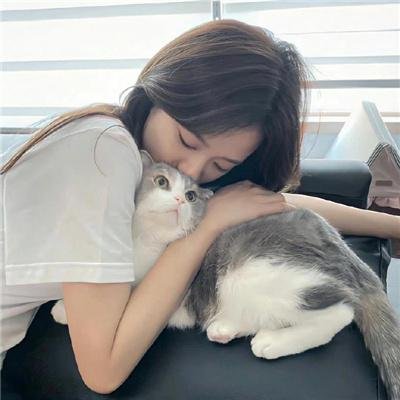 小鼠朋友